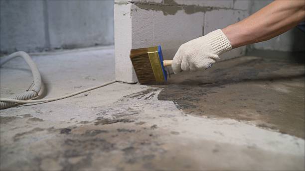 SJ Waterproofing Pros Waterproofing coverage map for Camden, AL and surrounding area